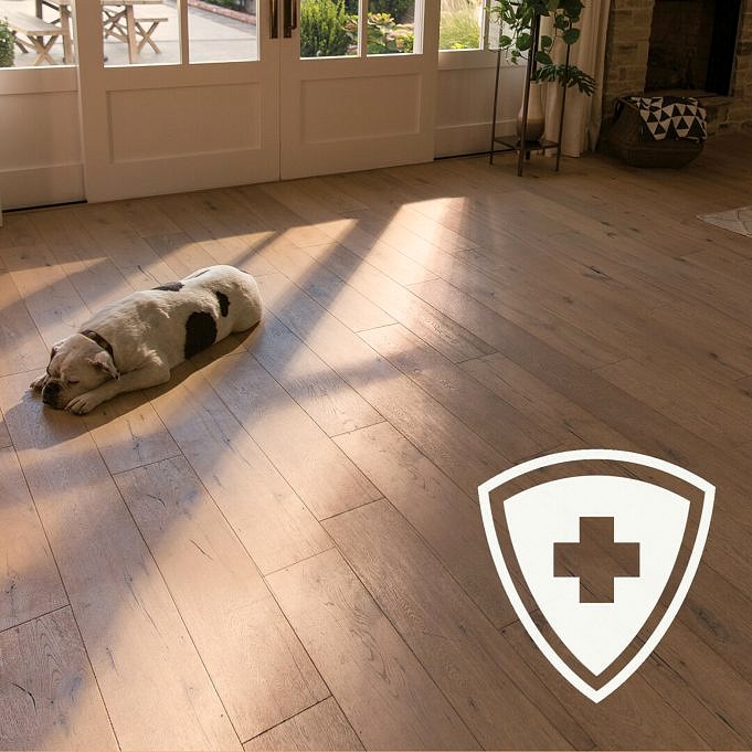 Hoe Hardhouten Vloeren Te Beschermen Tegen Hondennagels?